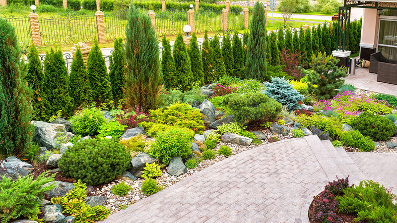 Backyard landscaping Ideas Without Grass