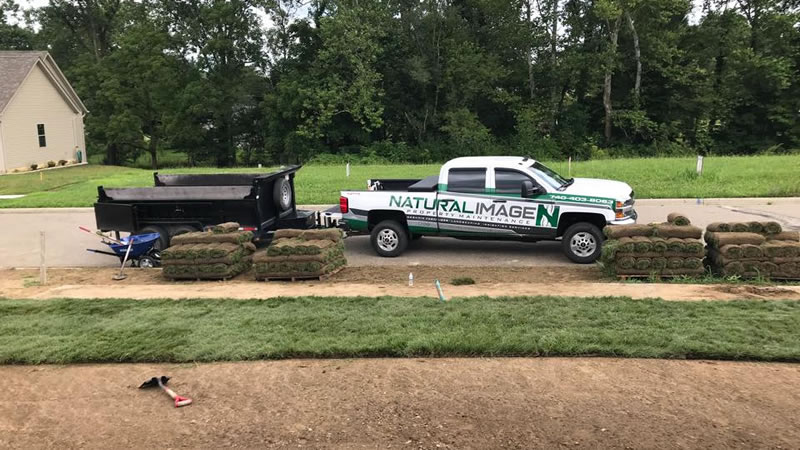 Should You Install Your New Lawn Using Seed Or Sod?