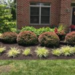 Hardscape and Softscape Landscaping ideas