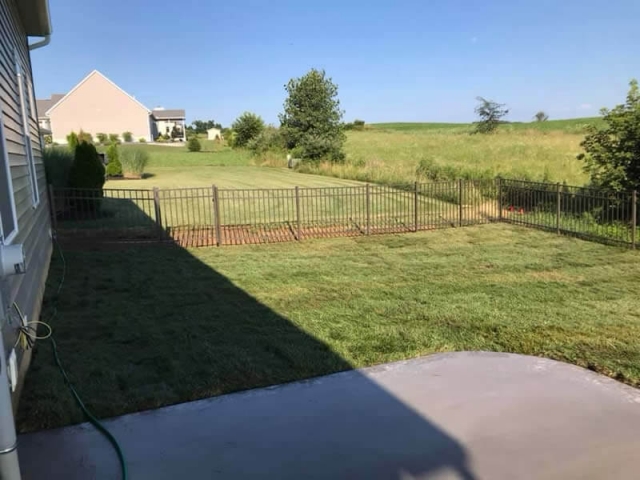 Sod Installed In A Clients Backyard
