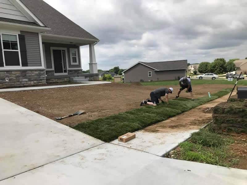 Sod Installation in customers front yard.