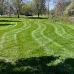 Lawn Mowing Provided By Natural Image Property Solutions