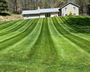 Lawn Mowing Provided By Natural Image Property Solutions