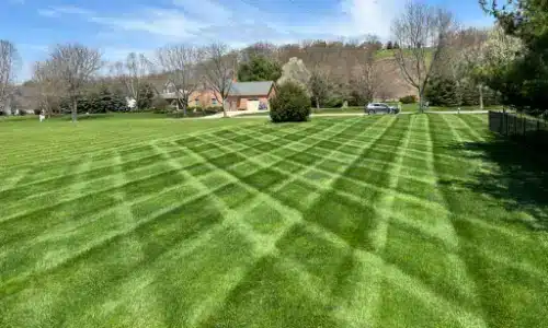 Expert Lawn Care Services Throughout Newark, New Albany, and Blacklick, Ohio.