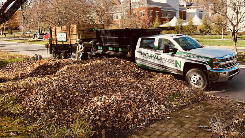 Fall Cleanup Services