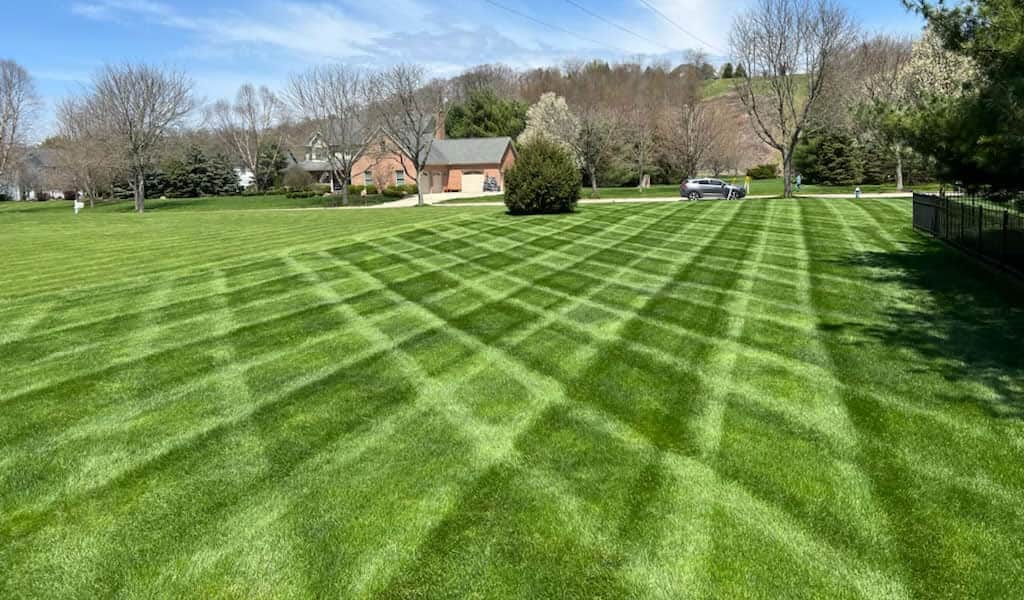 We Offer Expert Lawn Care Services