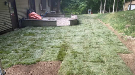 Sod Installation Is A Popular Landscaping Service